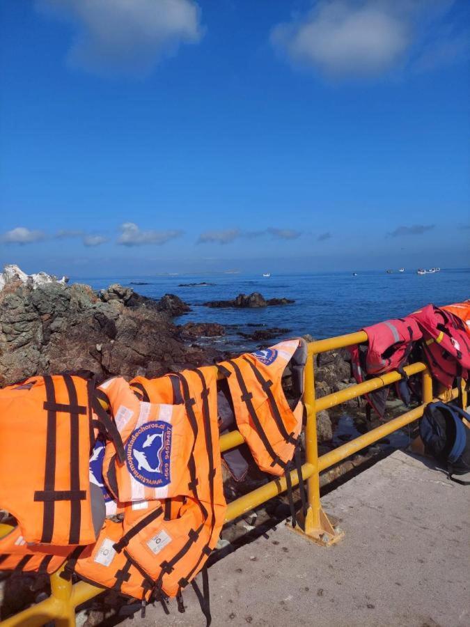Refugio Del Archipielago Punta de Choros Kültér fotó