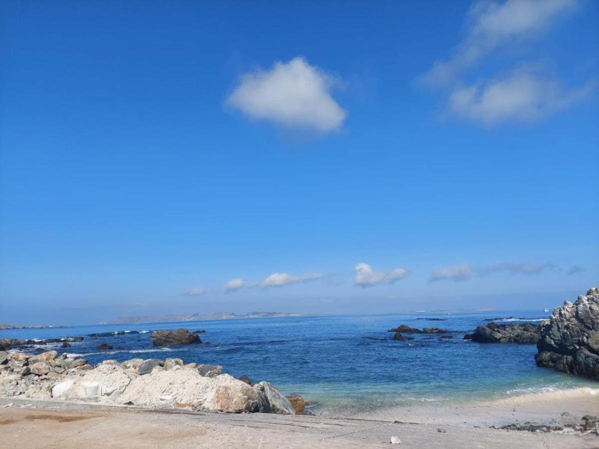 Refugio Del Archipielago Punta de Choros Kültér fotó