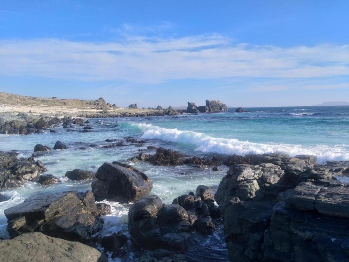 Refugio Del Archipielago Punta de Choros Kültér fotó